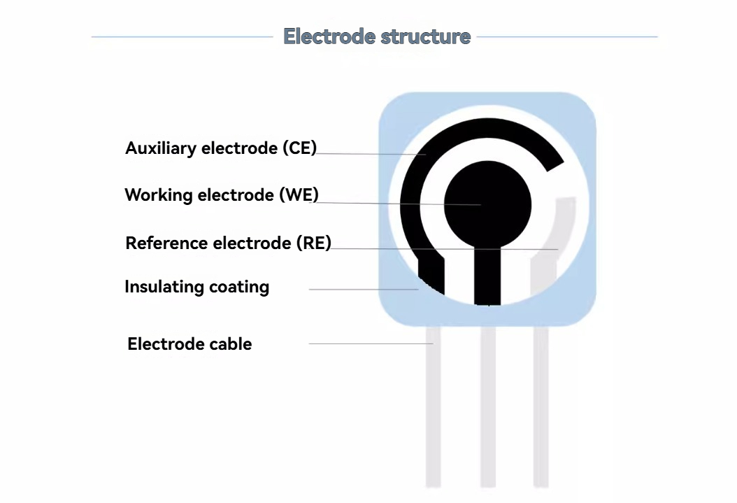Screen-Printed Electrode Structure